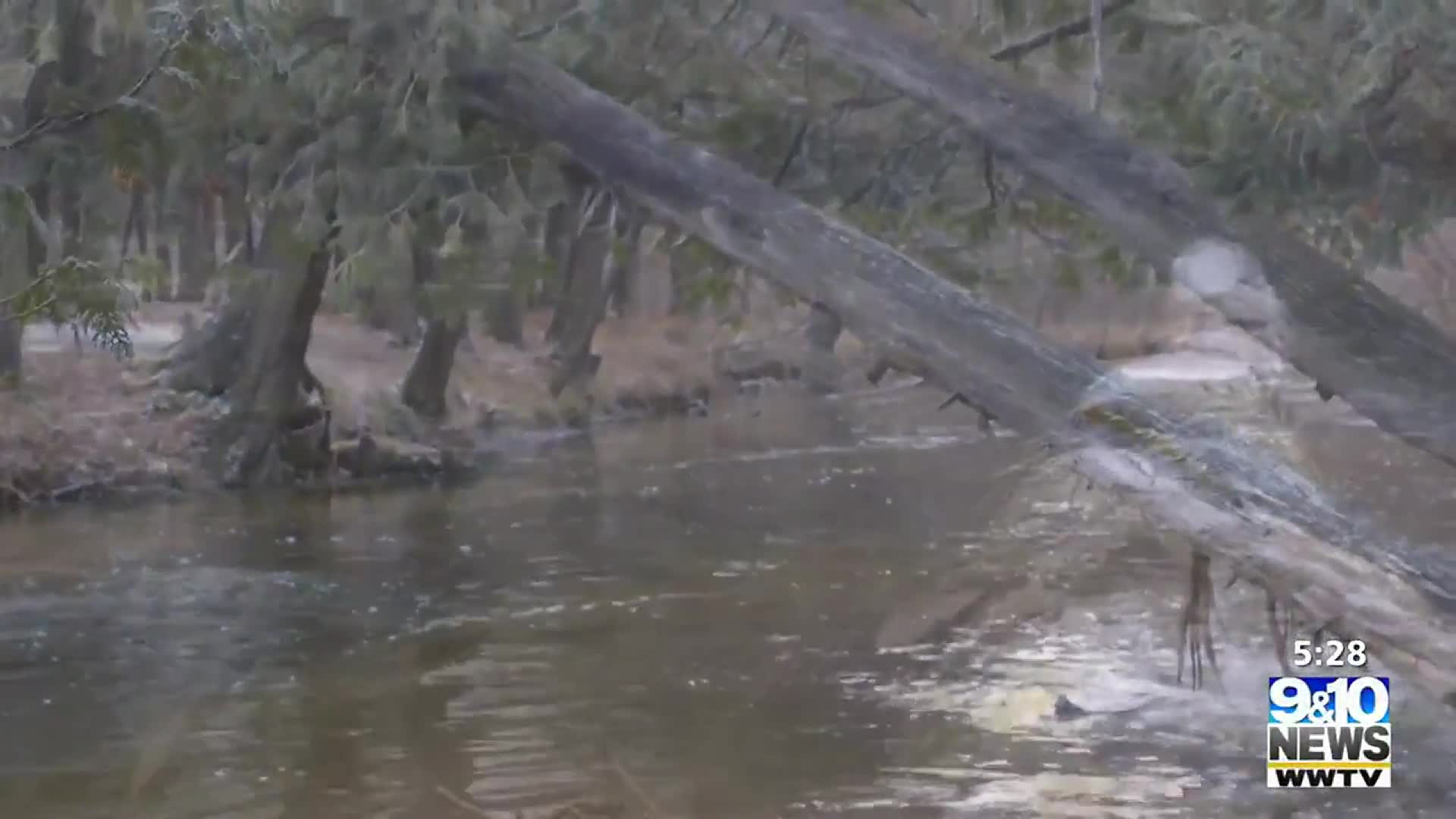 Sights and Sounds: Tranquil Boardman River – 9and10News.com