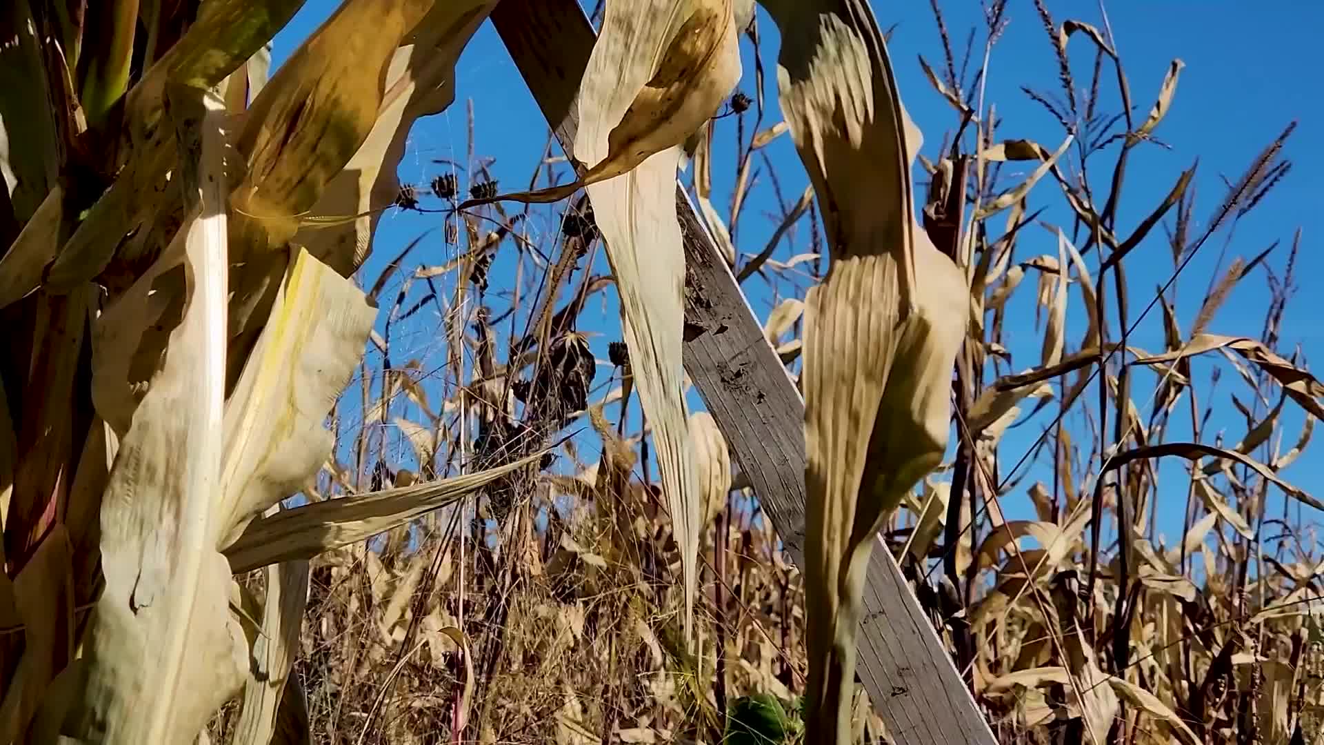 Michigan farmers grapple with fertilizer disruptions due to Iran conflict