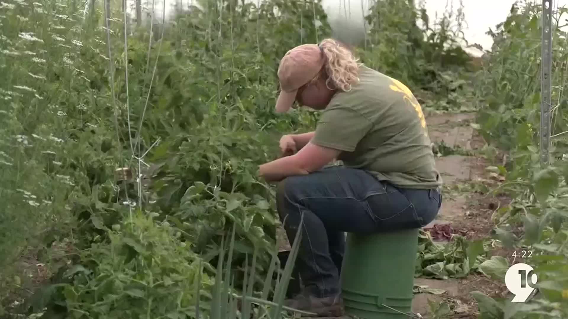 Growing, Eating and Educating with NanBop Farm: Important days for ...