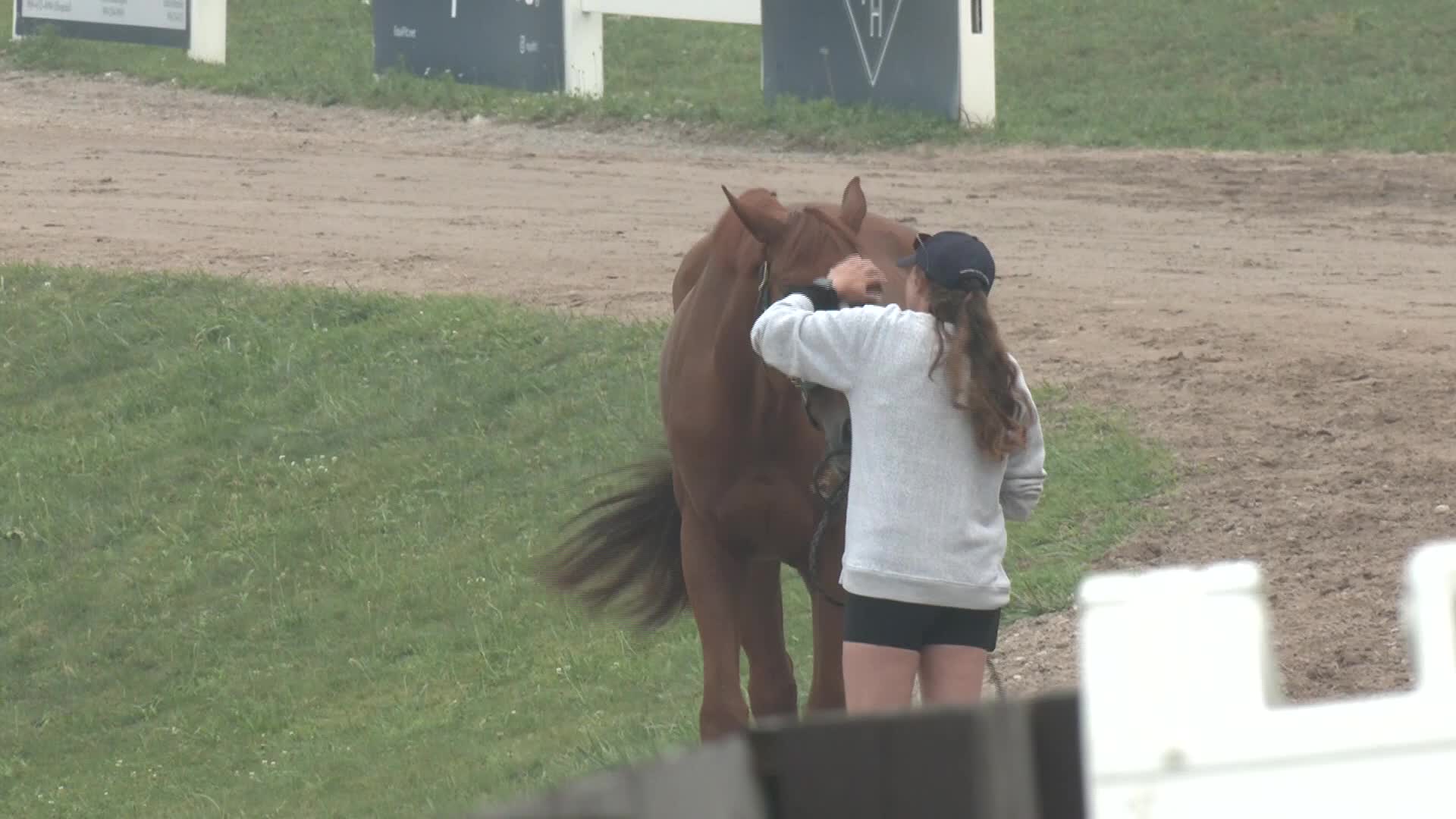 Traverse City Horse Shows canceled due to wildfire smoke and heat