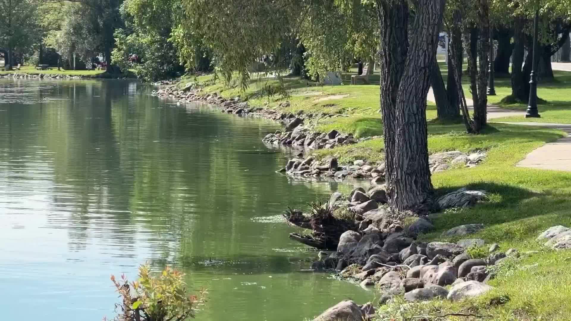 Clam River Greenway Walk to Highlight Flooding Impacts