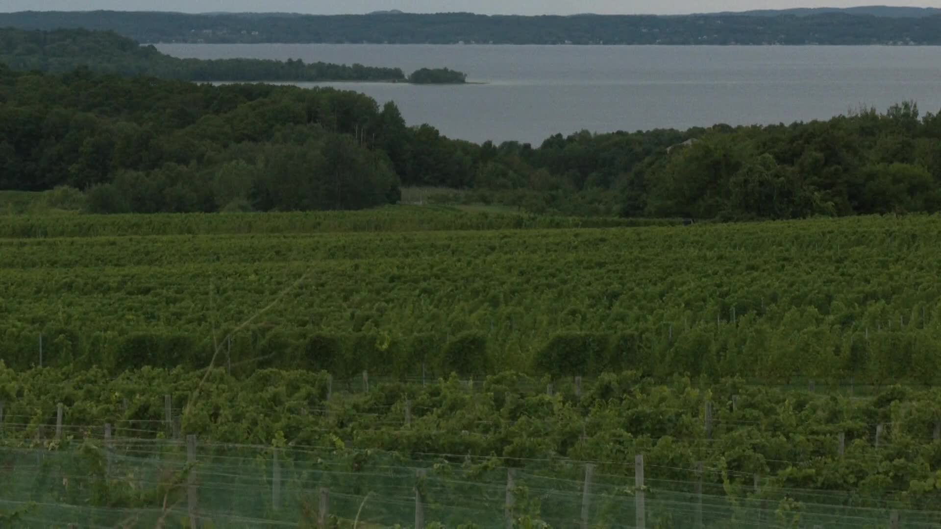 AMERICA 250: Designer Kelly Weldon pairs natural wine with house music in Traverse City