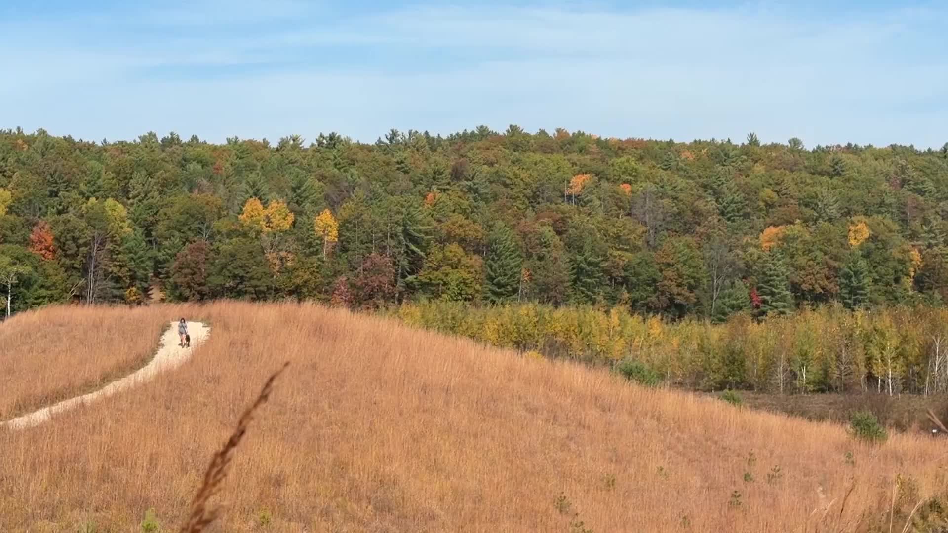 9and10news.com - Northern Michigan fall tourism grows to support local businesses