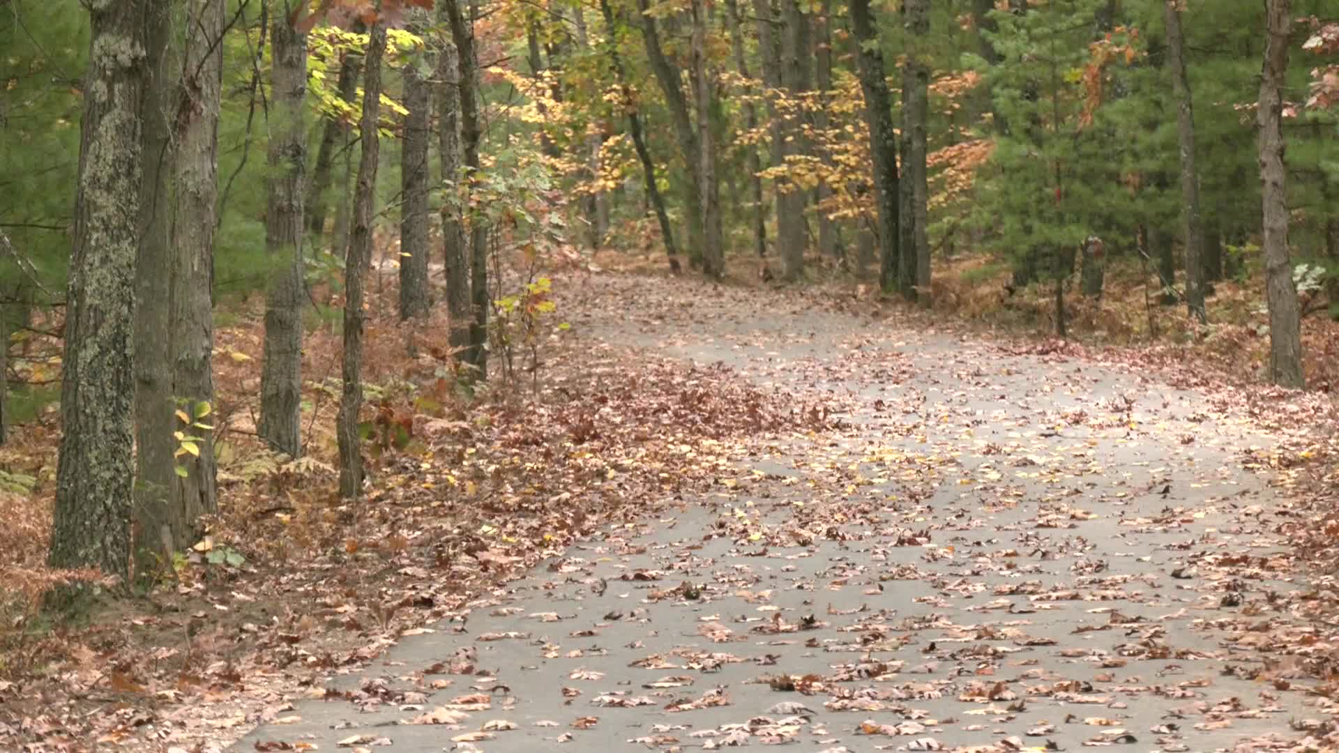 9and10news.com - Phase two of the Interlochen Community Art Trail begins construction