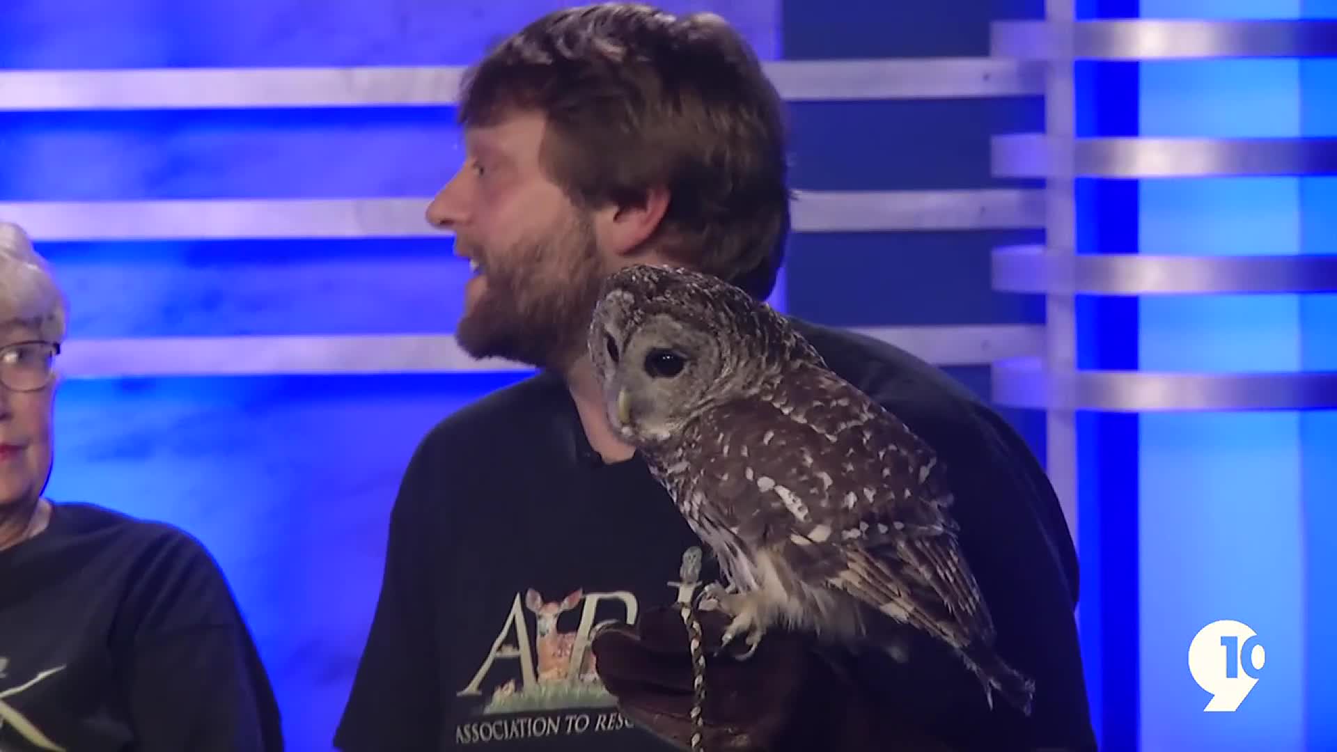 ARK saving Michigan critters for us all 9&10 News