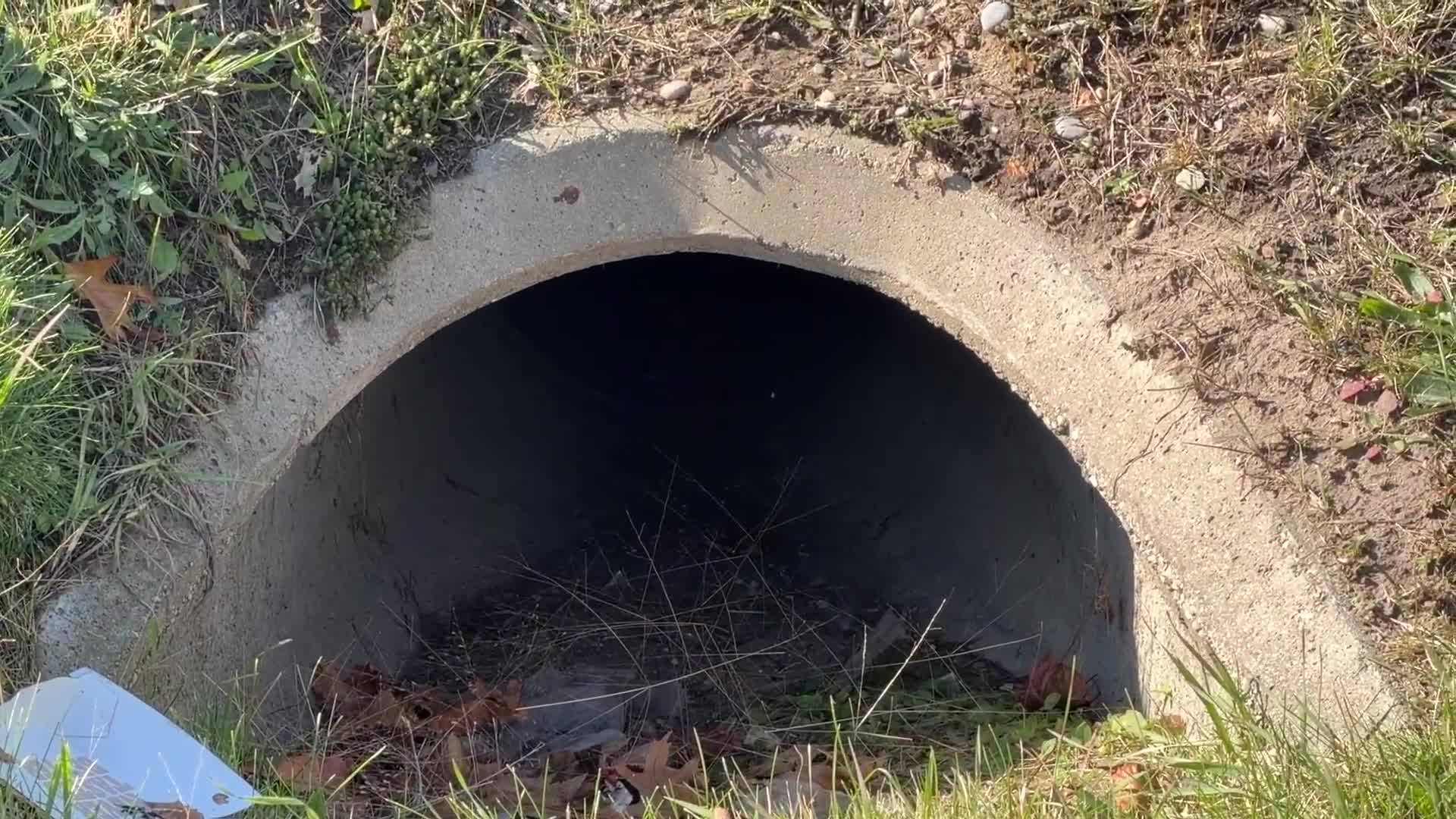 Ball Drain maintenance study approved to address flooding concerns