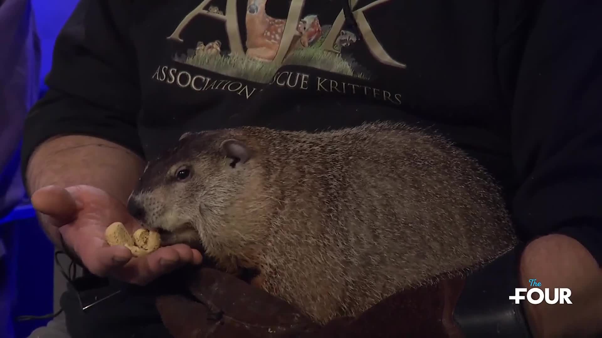 ARK, the Association to Rescue Kritters, gets their rescue ready for ...