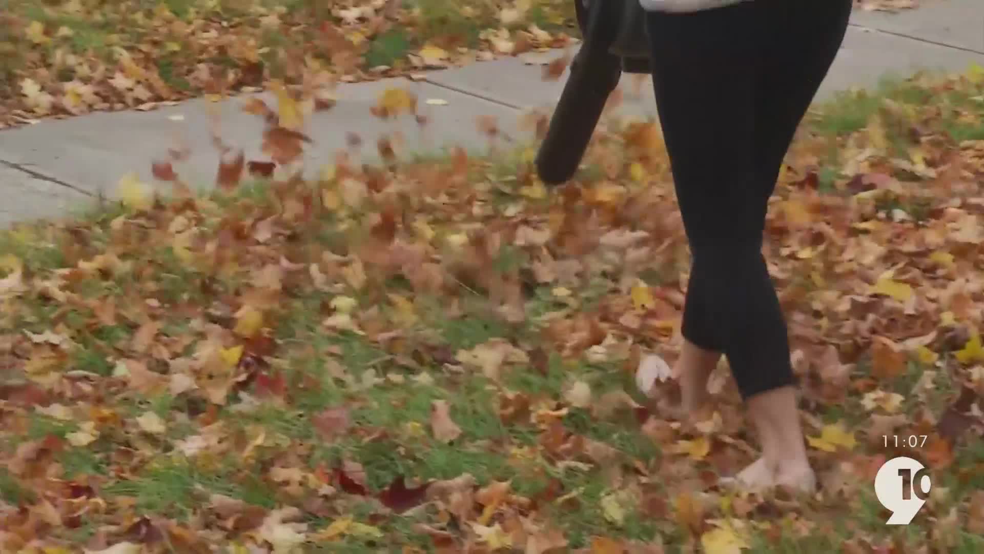 Gaspowered leaf blowers to be banned in Ann Arbor by 2028 9&10 News